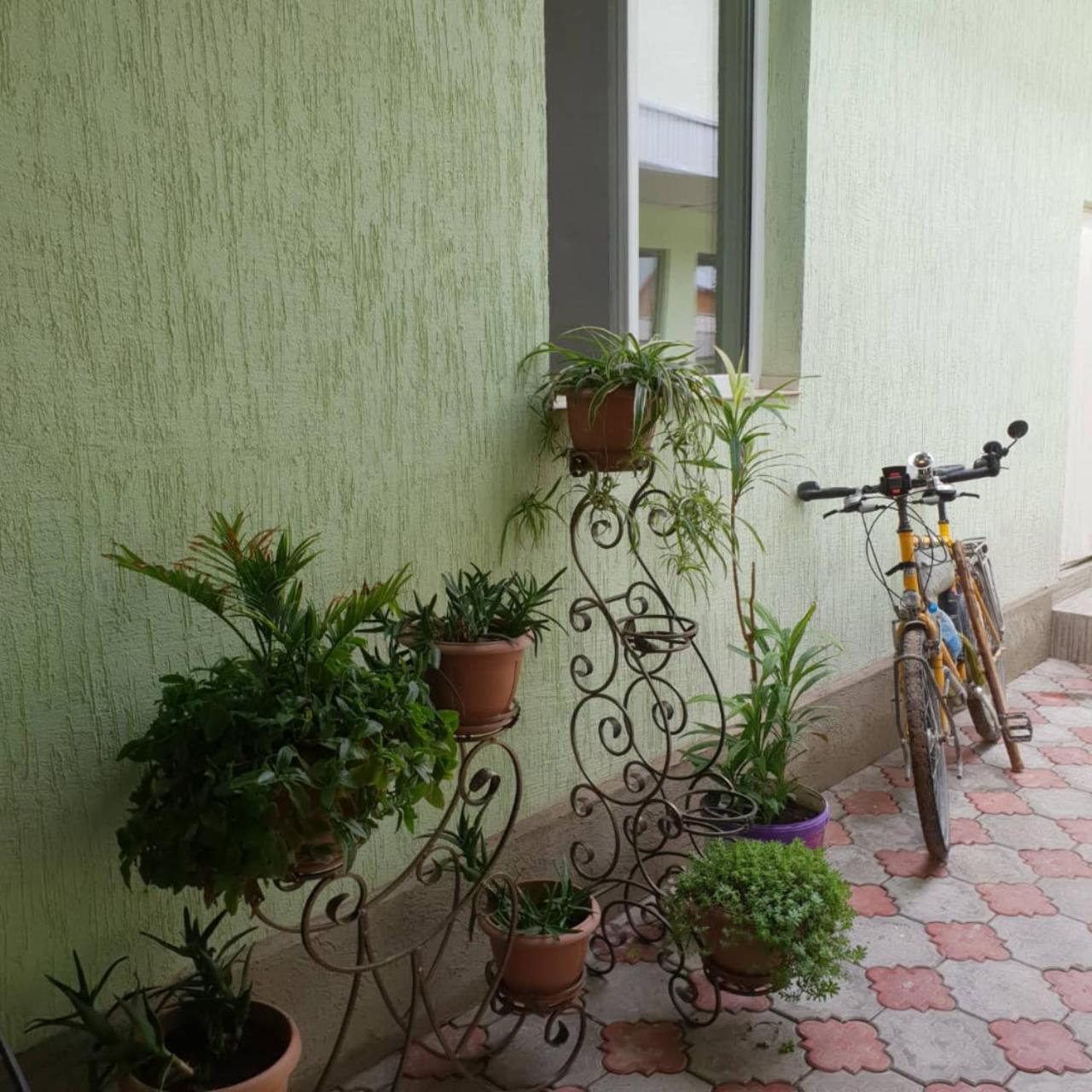 Naryn Datka Guest House المظهر الخارجي الصورة